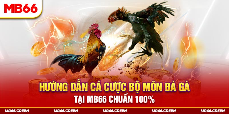 xổ số chủ nhật