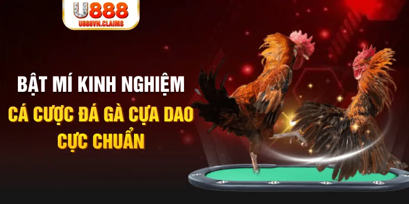 đăng nhập mậu binh rút tiền nhanh