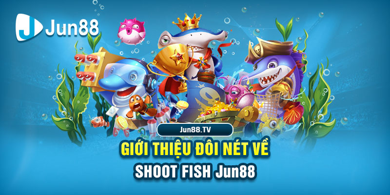 ww 88 cá cược thể thao là gì