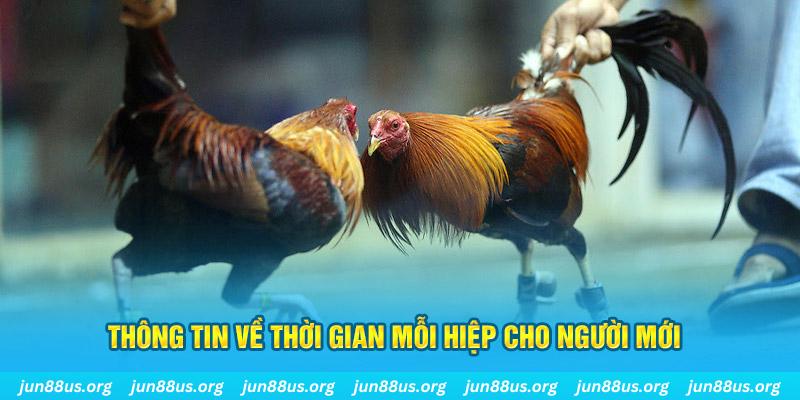 R88 Điện Tử