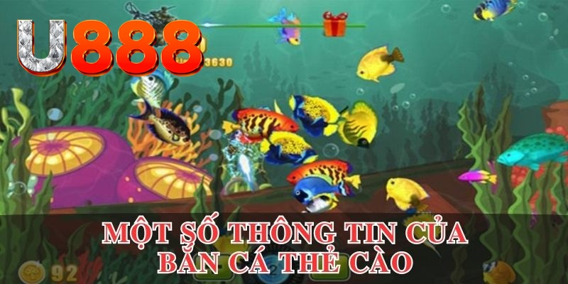 ww 88 Xì dách