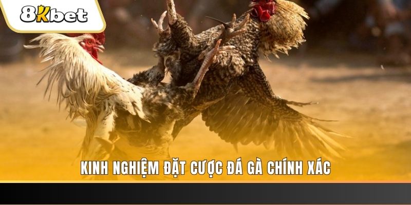 ww 88 tai game danh bai mien phi ve may tinh