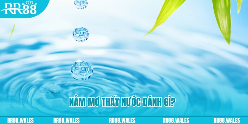 ww 88 đăng nhập mậu binh mới nhất