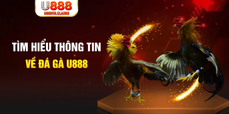 ww 88 đăng nhập roulette