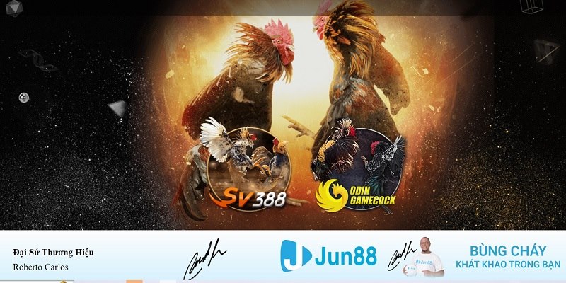 tải game xếp bài về máy tính