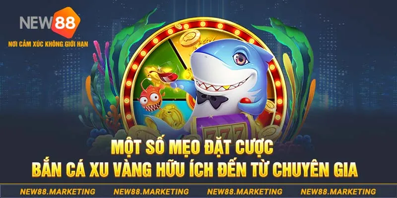 ww 88 game đánh bài offline cho máy tính