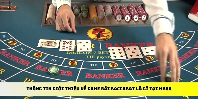 ww 88 đăng nhập poker đổi thưởng