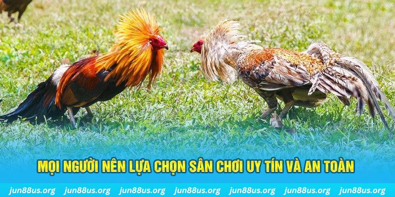KA Bắn cá