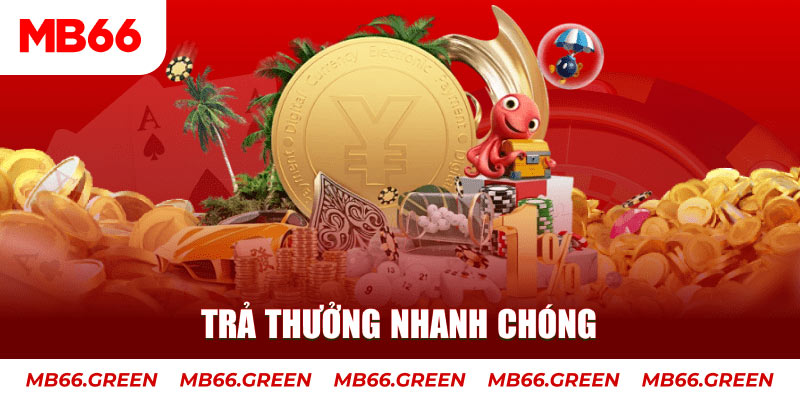 gà chọi c1 ô taxi