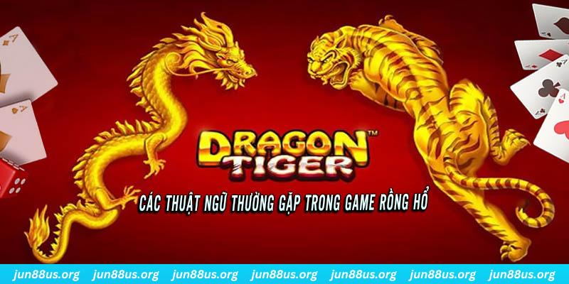 ww 88 cá cược bóng đá như thế nào