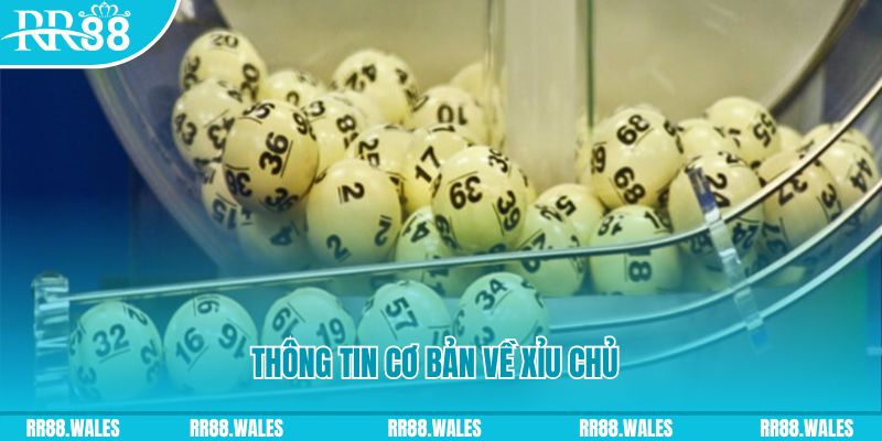 ww 88 đá gà thomo 67