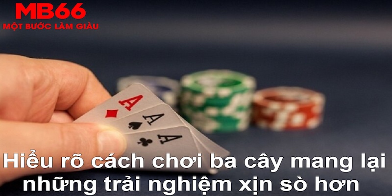 đá gà thomo