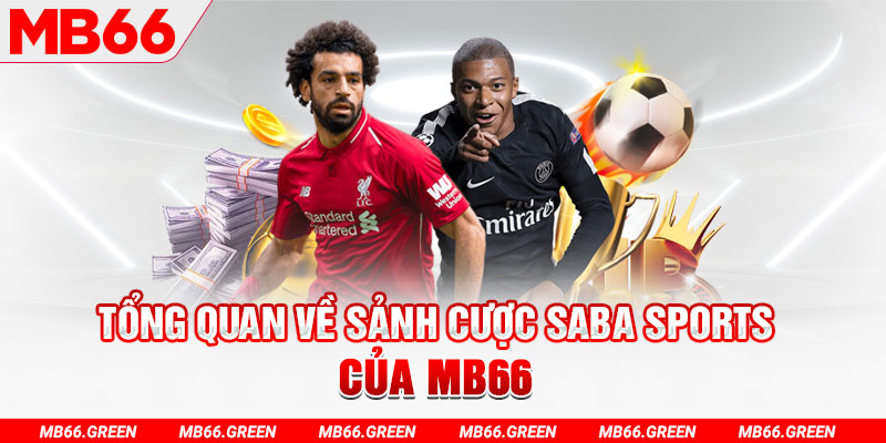 Trăm người Bo tám Bo chín