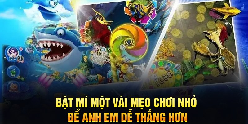 ww 88 EVO Trực Tuyến
