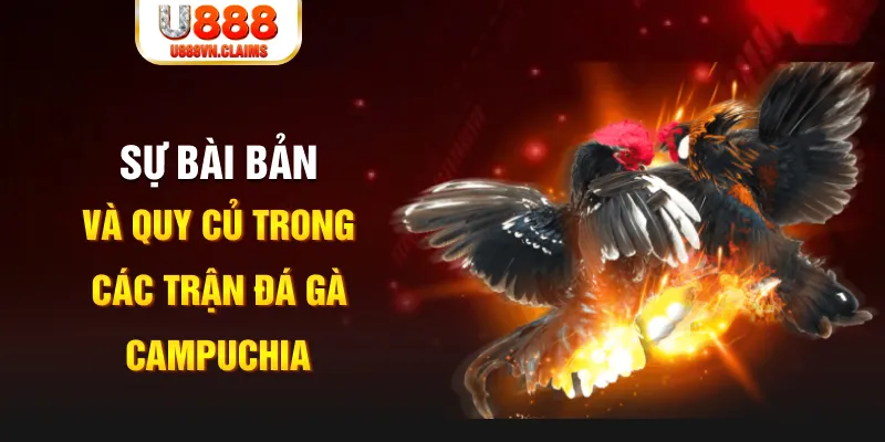 ww 88 đăng nhập poker live