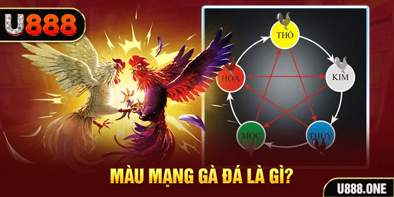 ww 88 nổ hũ 2 mặt là gì