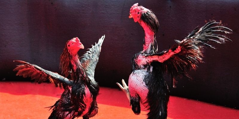 đăng nhập lô đề rút tiền nhanh