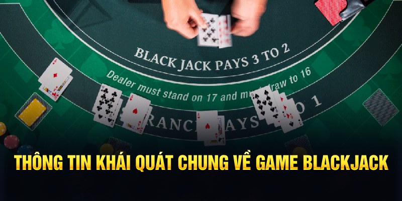 đá gà hôm nay