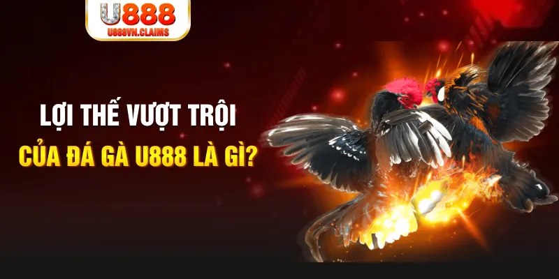 ww 88 Phỏm Tá Lả