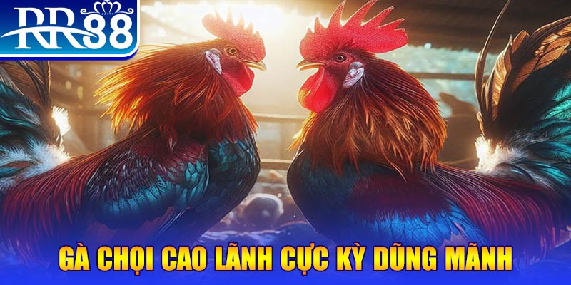 ban ca xeng 2