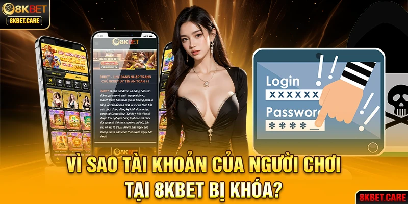 máy bay cá cược